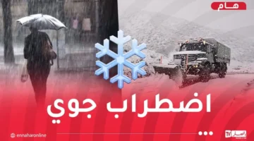 تحذير مرصدي.. ثلوج وأمطار غزيرة تجتاح عدة ولايات جزائرية خلال الساعات المقبلة